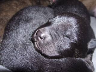 image016