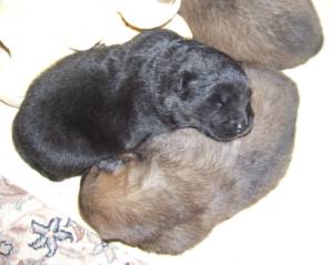 image028