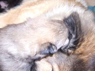 image014