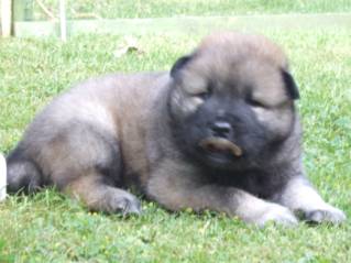 image016