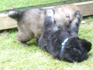 image020