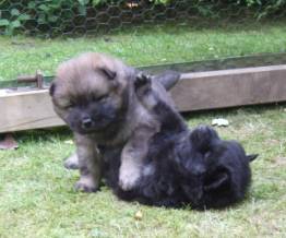 image022