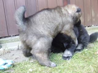 image028