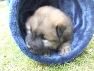 image014