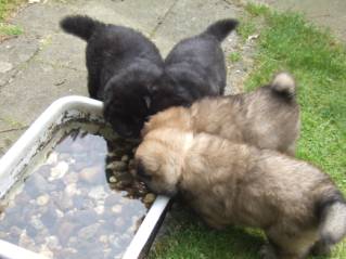 image024