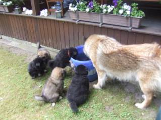 image032