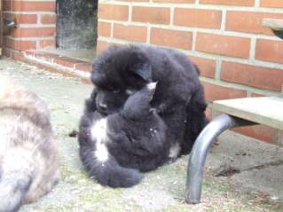 image016