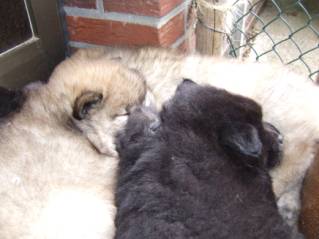 image024