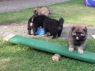 image010
