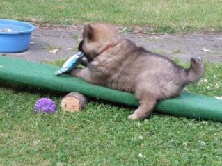 image014