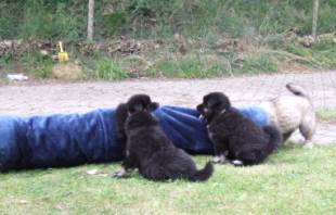 image018