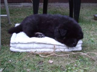 image024
