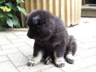 image036