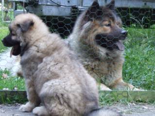 image026