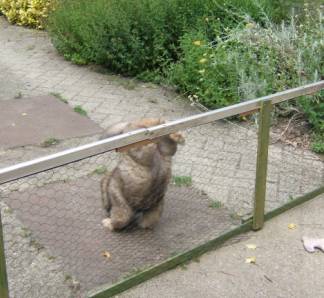 image032
