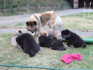 image010