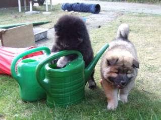 image014