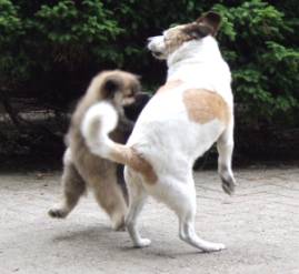 image026