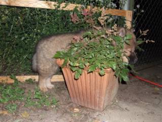 image030