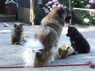 image034