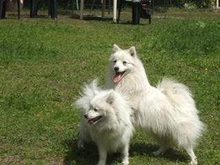 image085.jpg