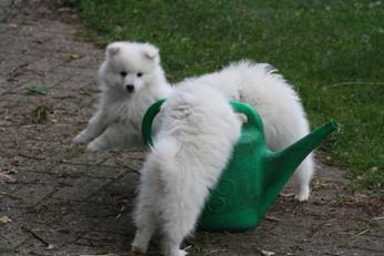 image010.jpg