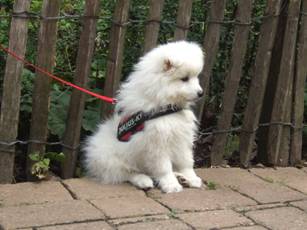 image020.jpg