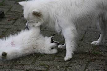 image024.jpg