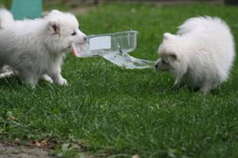 image026.jpg