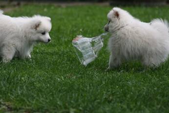 image028.jpg