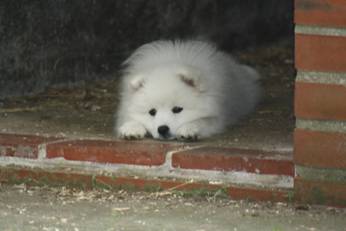 image034.jpg