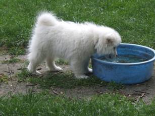 image036.jpg