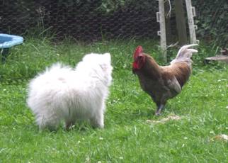 image038.jpg