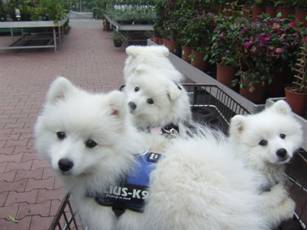 image020.jpg