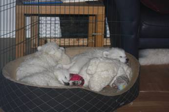 image036.jpg