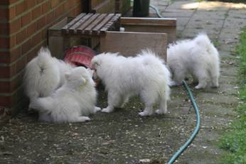 image044.jpg