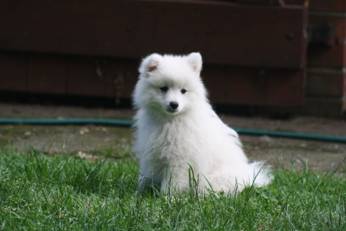 image048.jpg