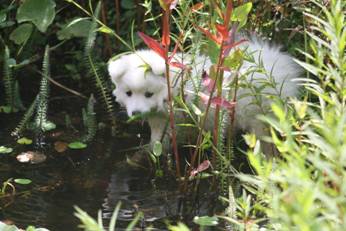 image006.jpg
