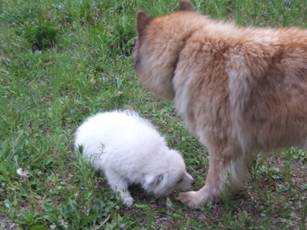 image020.jpg