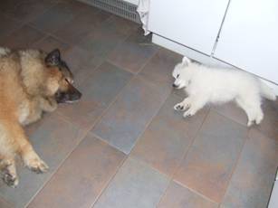 image028.jpg