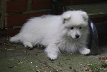 image034.jpg