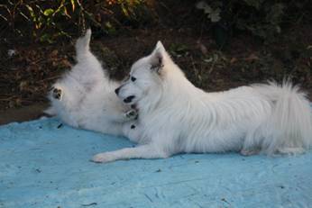 image038.jpg