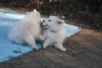 image044.jpg