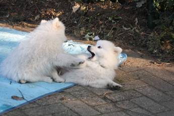image046.jpg