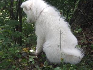 image026.jpg