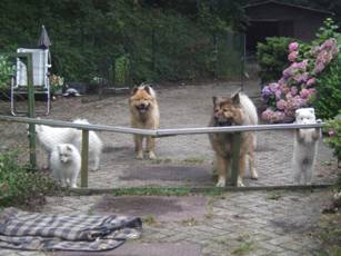 image030.jpg