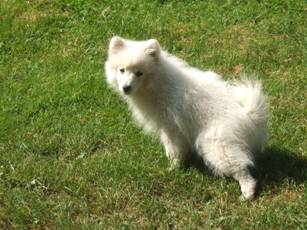 image044.jpg