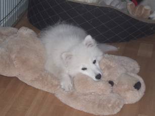 image002.jpg