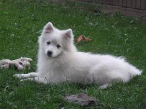 image050.jpg
