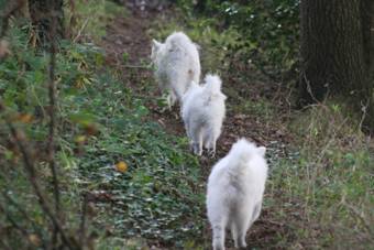 image060.jpg